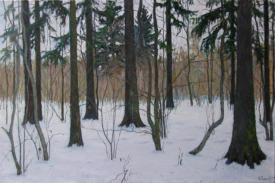 Лес зимой, Сергей Чаплыгин