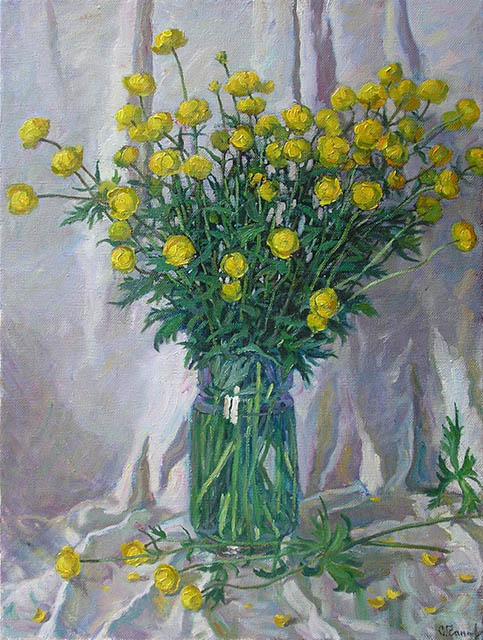 Trollius flowers, Sergei Chaplygin