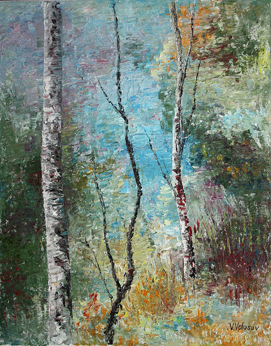 Birches, Vladimir Volosov