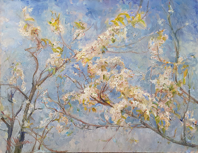 Blooming cherry, Maria Sherbinina