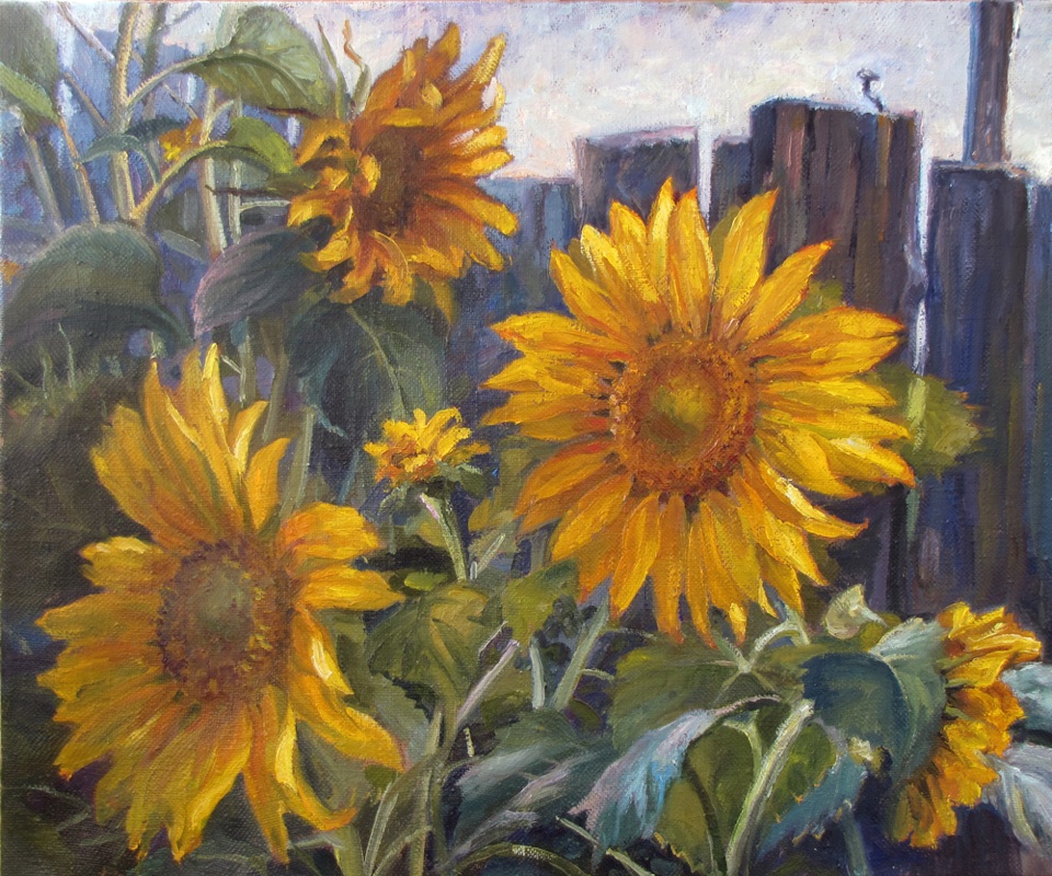 Sunflower, Igor Rodionov
