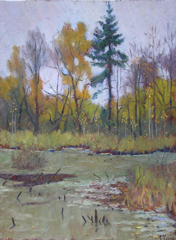 Gray day on marsh, Sergei Chaplygin