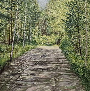 Road in the forest. Sunny day