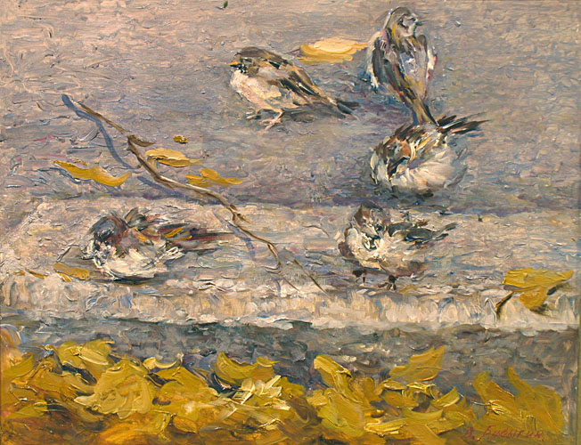 Sparrows, Valery Busygin