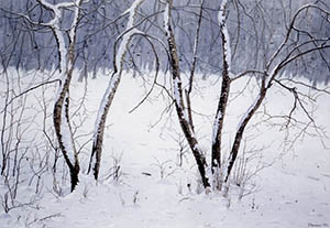 Зимний пейзаж с боярышником