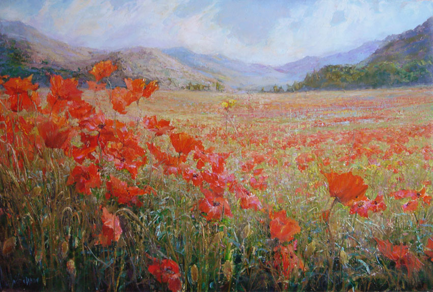 Valley of wild poppies, Maria Sherbinina