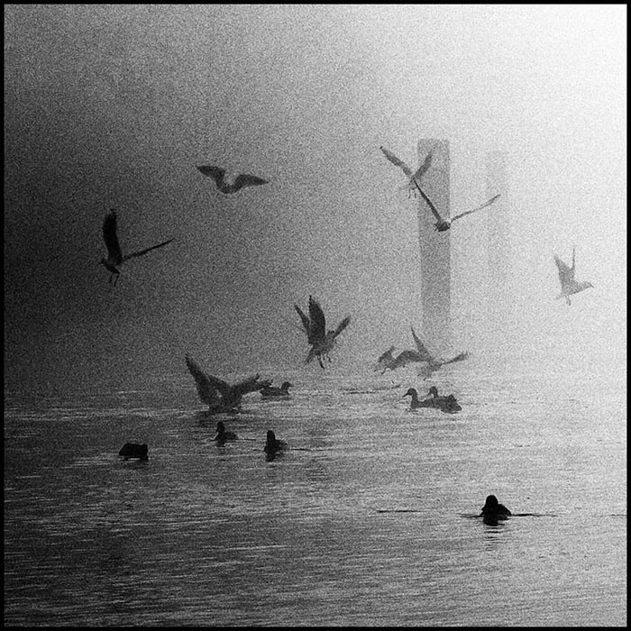 Thames, fog, Mikhail Churbanov