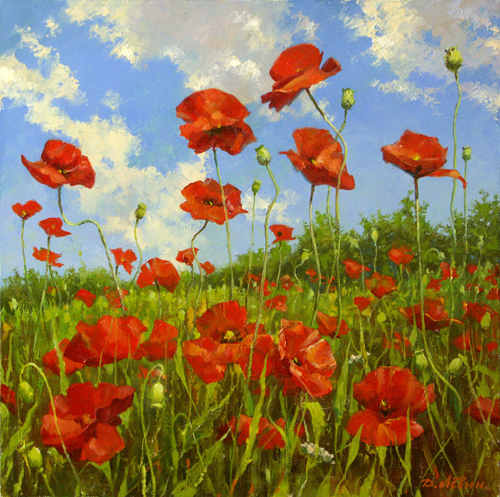 Маковый цвет, Дмитрий Лёвин- поле маков, красные цветы, голубое небо, пейзаж