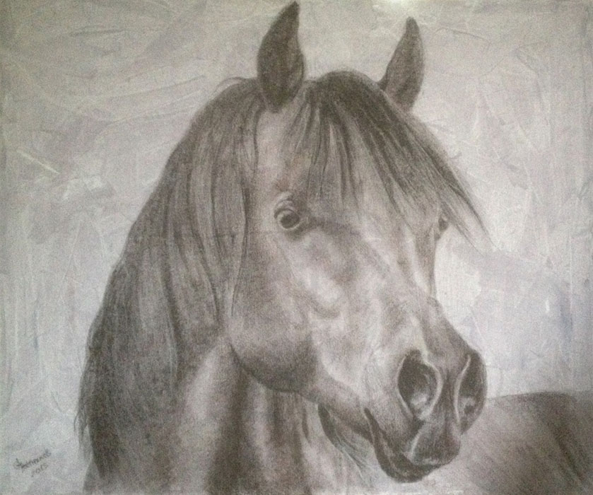 Elegy, Sergey Postnikov- head of a mare, animalistic painting, drawing on canvas