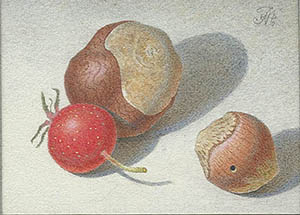 Nuts and hawthorn (collection of the Museum of Miniatures)