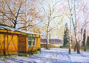 Country houses in the winter