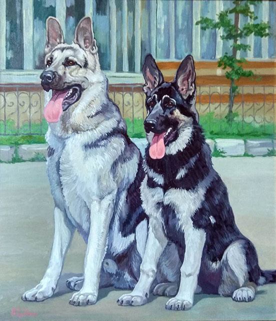 Portrait of two shepherd dogs (to order), Mikhail Brovkin