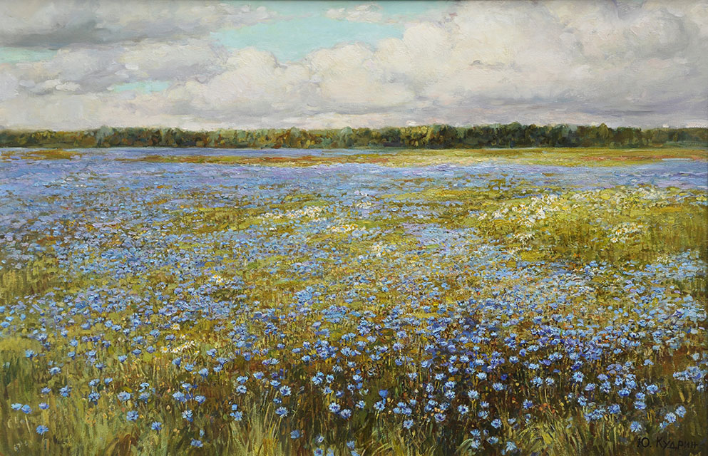 Cornflower field, Yuri Kudrin