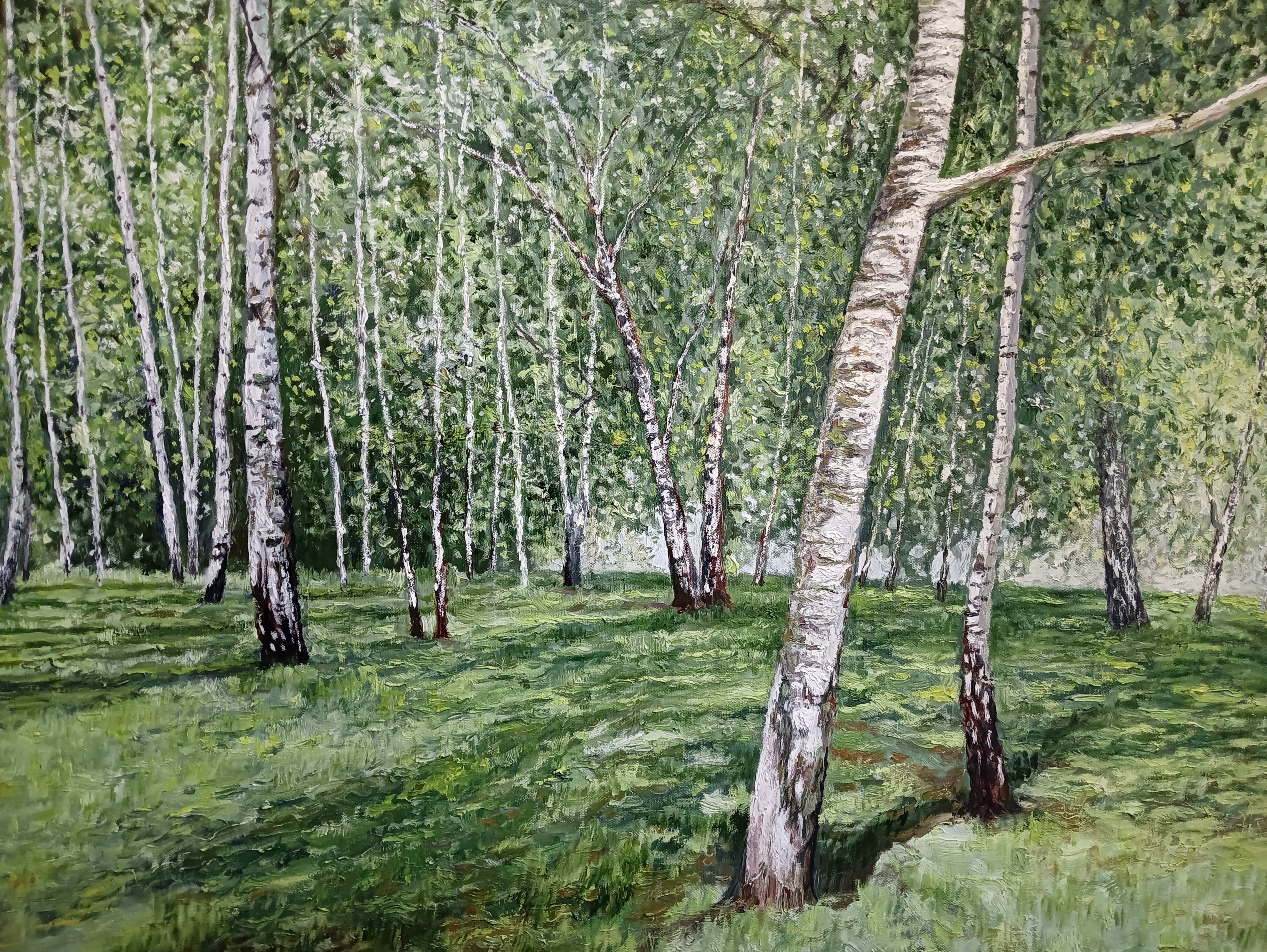 Birch Grove, Dmitri Pavlov