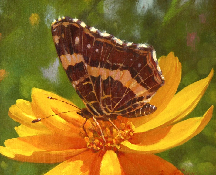 Бабочка, Виктория Лёвина