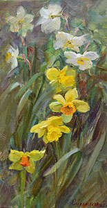 Daffodils