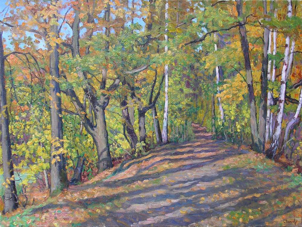 Autumn time, Sergei Chaplygin