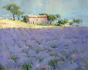 House in Provence (to order)