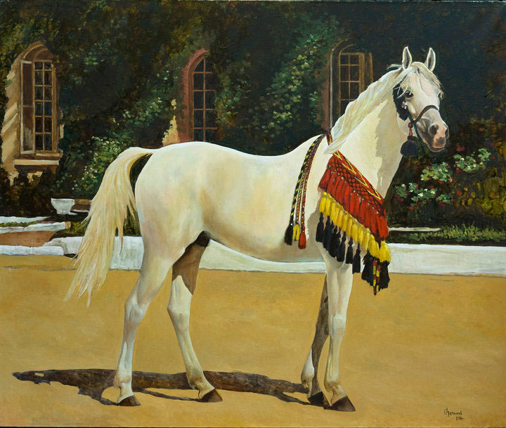 Arabian stallion Alibei, Sergey Postnikov