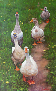 Тропинка к пруду