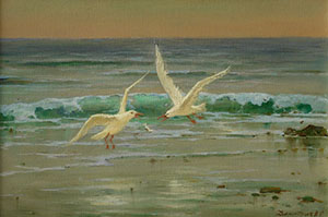 Seagulls (framed)