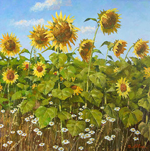Sunflowers. The gold of summer