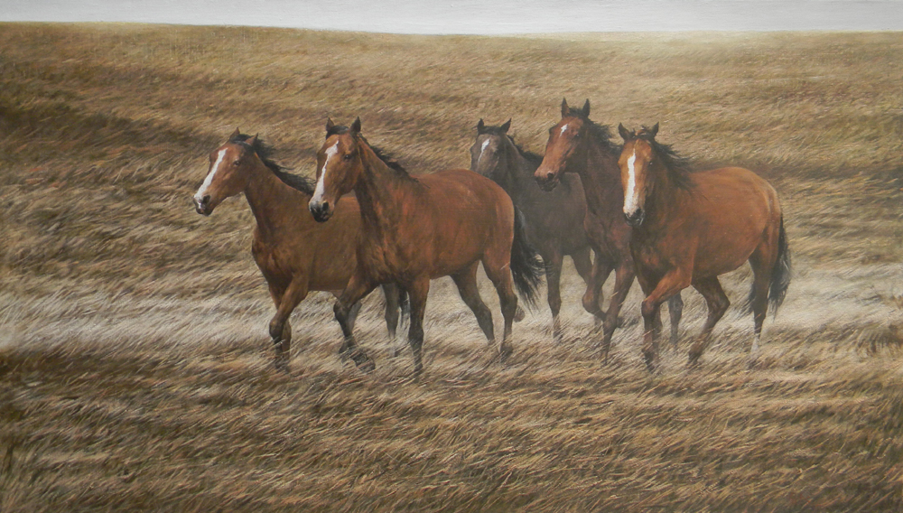 Северный ветер, Андрей Ситько- картина, лошади, бегущие по полю, прогулка, реализм