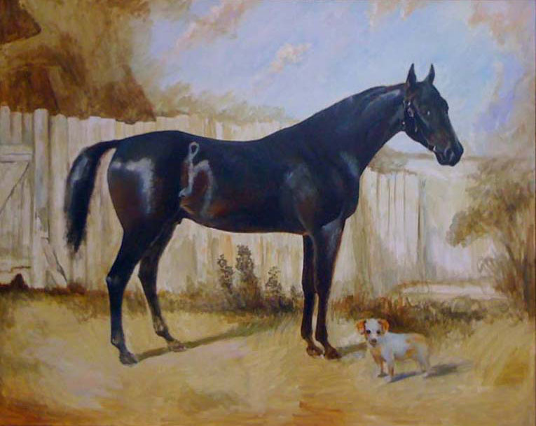 Друзья, Сергей Постников- черный жеребец, маленькая собачка, картина анималистика