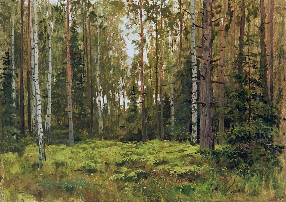 Ferns in the forest, Rem Saifulmulukov- painting, summer, forest clearing, Russian birch, landscape