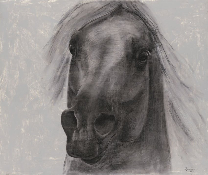 Sight, Sergey Postnikov- horse head, drawing