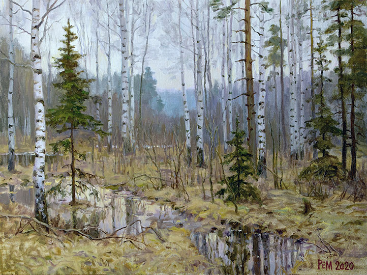 In the spring forest, Rem Saifulmulukov