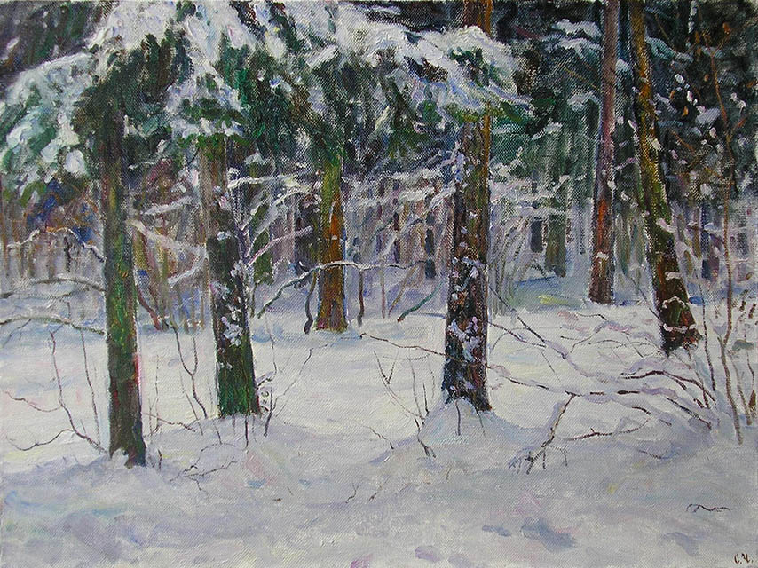 Зимой в лесу, Сергей Чаплыгин