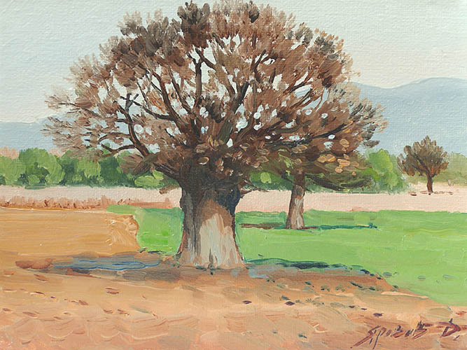 Olive-tree, Dmitry Yarovov